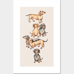 Adorable Dachshunds Posters and Art